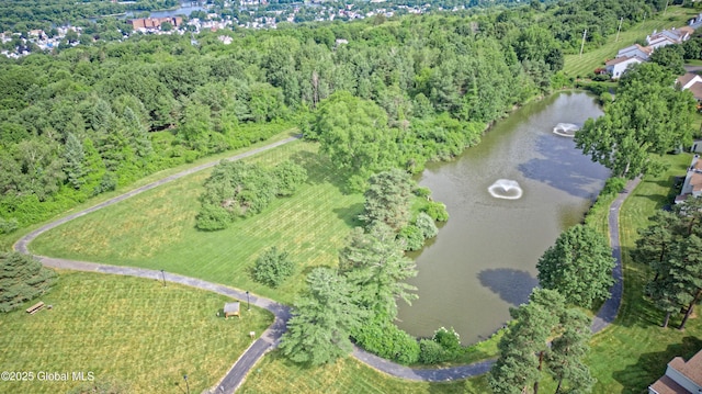 614 Apex Ln, Troy, NY 12182 - aerial view of property and surrounding area with a large body of water and a forest