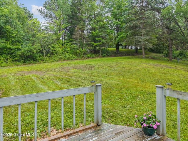 583 Cotton Hill Rd, Middleburgh, NY 12122 - photo 5
