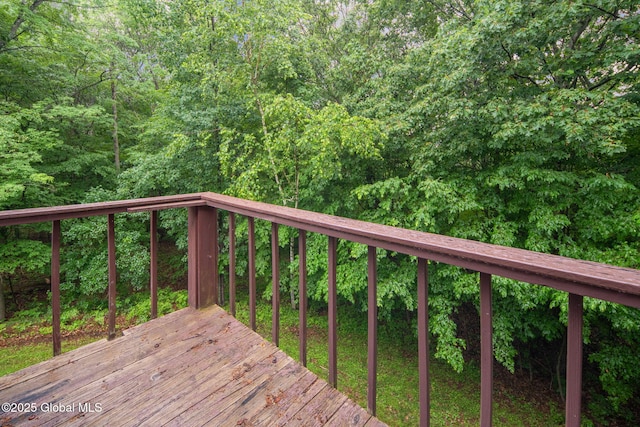 583 Cotton Hill Rd, Middleburgh, NY 12122 - photo 37