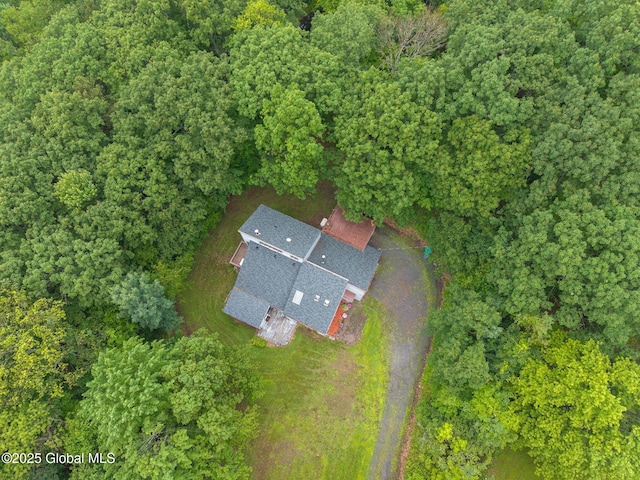 583 Cotton Hill Rd, Middleburgh, NY 12122 - photo 65