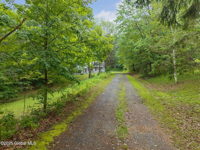 583 Cotton Hill Rd, Middleburgh, NY 12122 - photo 66