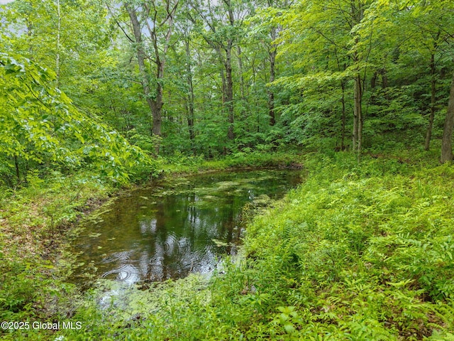 583 Cotton Hill Rd, Middleburgh, NY 12122 - photo 67