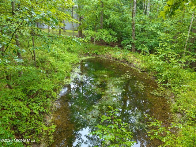 583 Cotton Hill Rd, Middleburgh, NY 12122 - photo 68