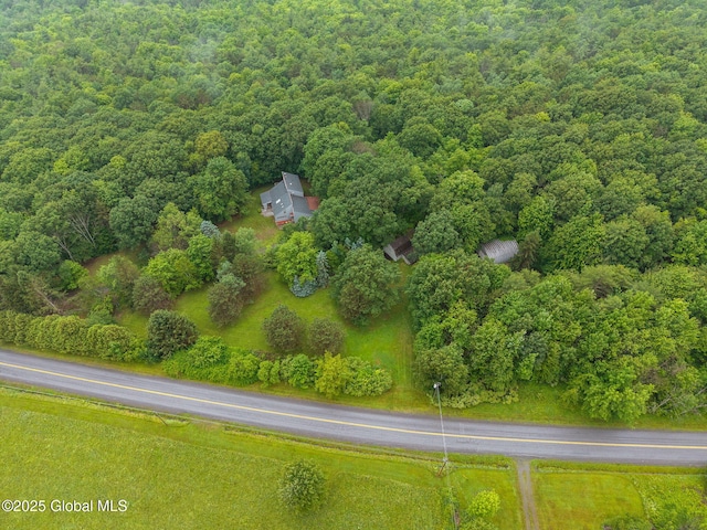 583 Cotton Hill Rd, Middleburgh, NY 12122 - photo 70
