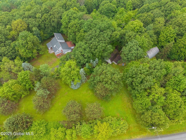 583 Cotton Hill Rd, Middleburgh, NY 12122 - photo 74