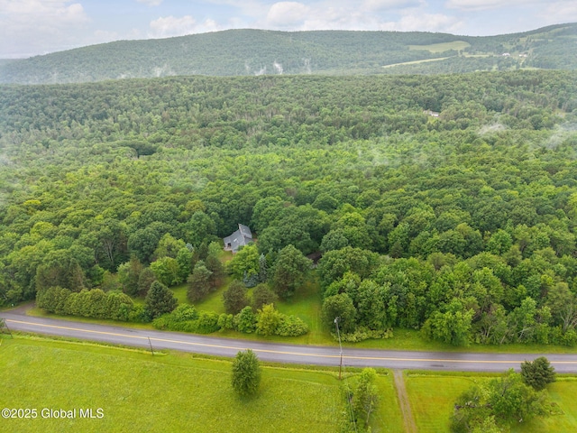 583 Cotton Hill Rd, Middleburgh, NY 12122 - photo 76