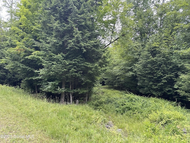 2 Diamond Ridge Rd, Bolton, NY 12824 - photo 2