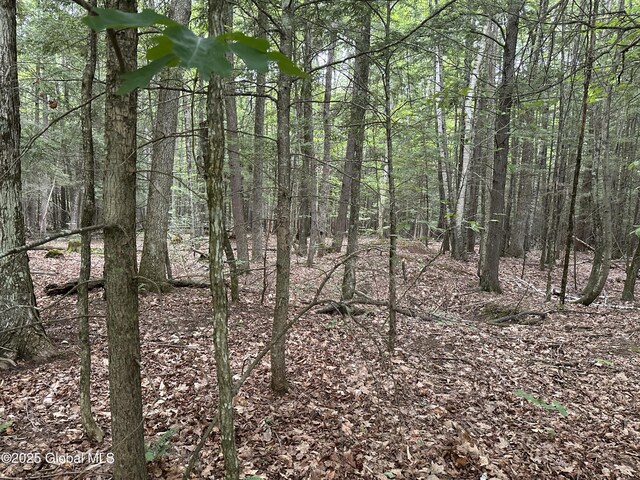 2 Diamond Ridge Rd, Bolton, NY 12824 - photo 3