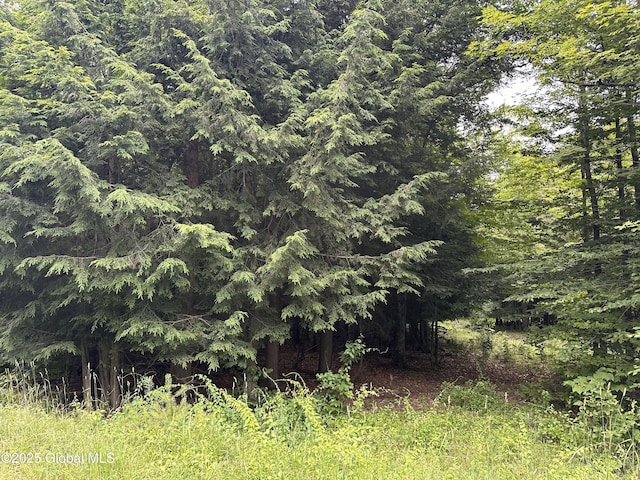 2 Diamond Ridge Rd, Bolton, NY 12824 - photo 4