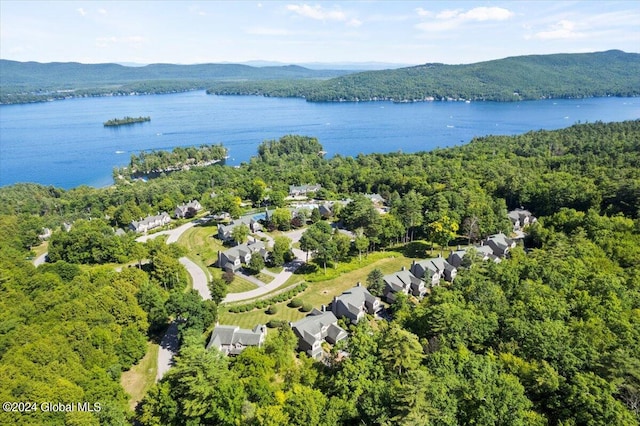 15 Green Harbour Ln, Lake George, NY 12845 - aerial view of a heavily wooded area and a large body of water