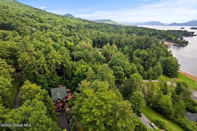 15 Green Harbour Ln, Lake George, NY 12845 - aerial view of a forest and a water and mountain view