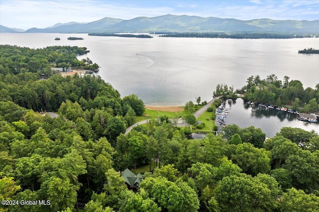 15 Green Harbour Ln, Lake George, NY 12845 - bird's eye view of a water and mountain view