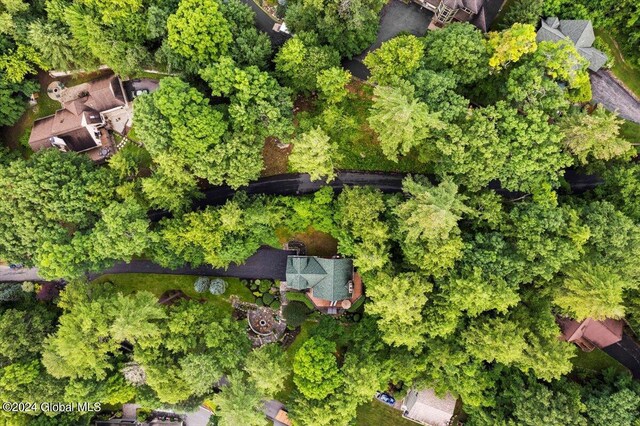 15 Green Harbour Ln, Lake George, NY 12845 - view of property location