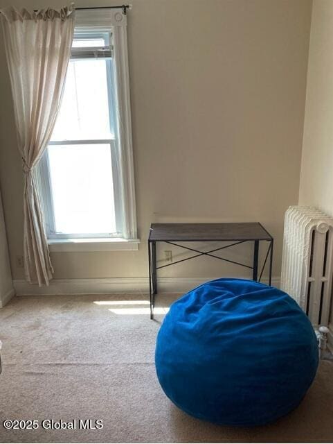 54 Brunswick Ave, Troy, NY 12180 - photo 15