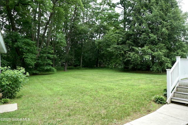 171 Consaul Rd, Colonie, NY 12205 - view of green lawn