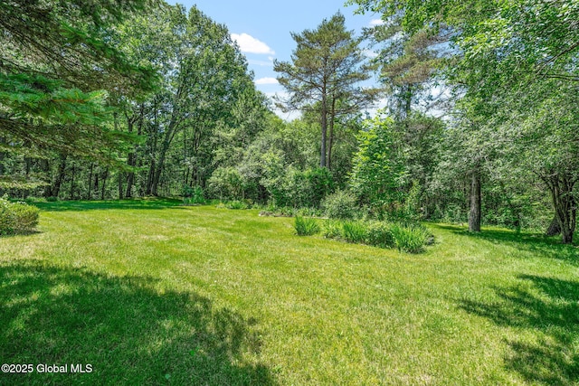 308 Saint Ann Dr, Niskayuna, NY 12309 - photo 6