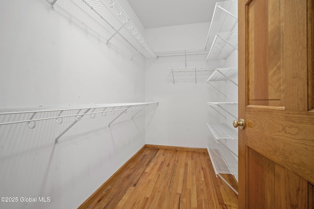 308 Saint Ann Dr, Niskayuna, NY 12309 - photo 39