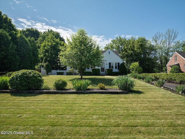 2 Arthur Rd, Colonie, NY 12110 - view of yard