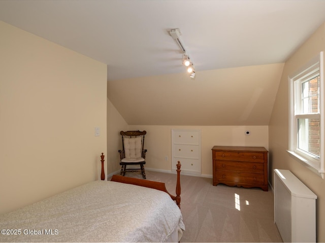 2 Arthur Rd, Colonie, NY 12110 - bedroom with light colored carpet, radiator heating unit, rail lighting, and vaulted ceiling