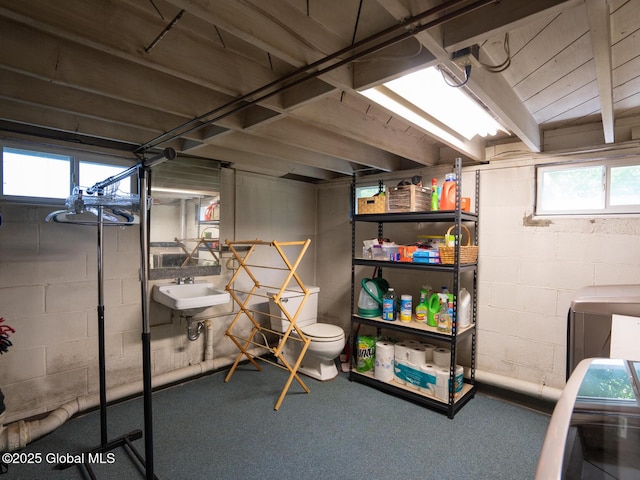 2 Arthur Rd, Colonie, NY 12110 - basement featuring a sink and carpet