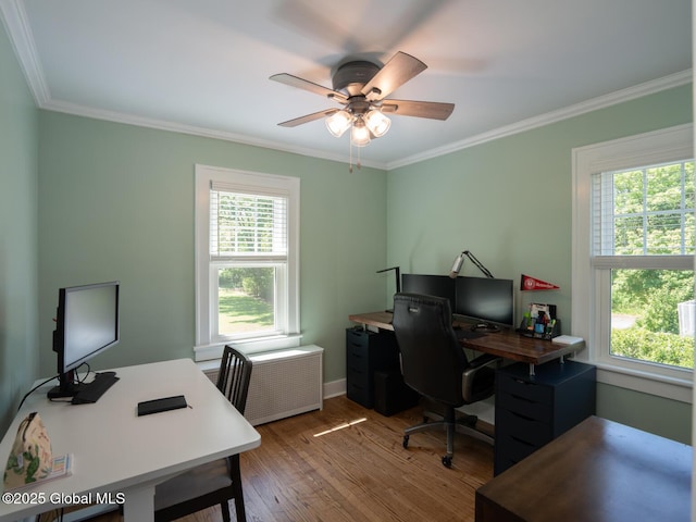 2 Arthur Rd, Colonie, NY 12110 - office space with a ceiling fan, wood finished floors, and crown molding