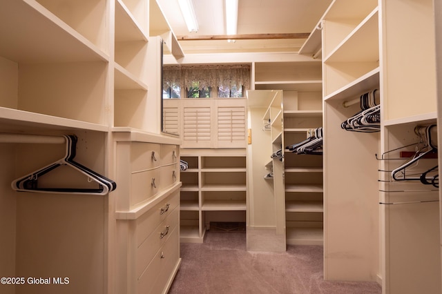 19 Meadow Rd, Hudson Falls, NY 12839 - walk in closet featuring carpet floors