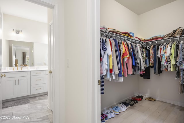 10A Idared Ln, Halfmoon, NY 12065 - walk in closet with a sink and light wood-type flooring