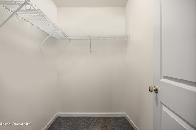 10A Idared Ln, Halfmoon, NY 12065 - walk in closet featuring carpet
