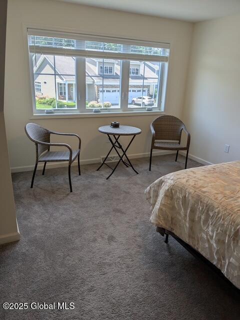 10A Idared Ln, Halfmoon, NY 12065 - carpeted bedroom featuring multiple windows