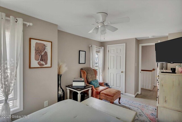 143 Manchester Rd, Schenectady, NY 12304 - photo 18