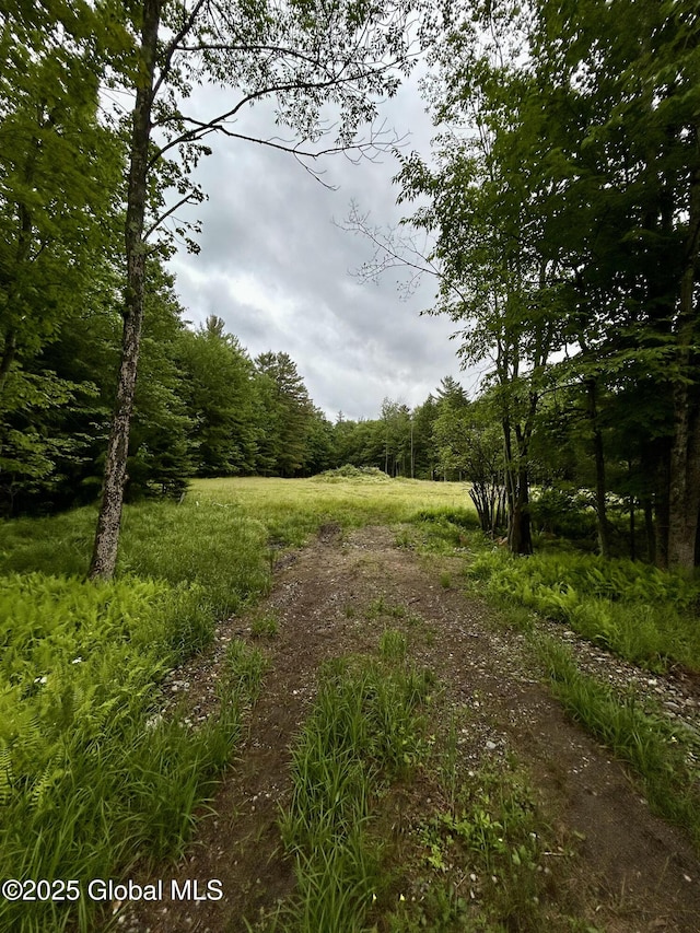 L1 Persch Rd, Bleecker, NY 12078