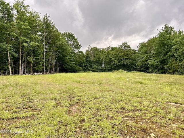L1 Persch Rd, Bleecker, NY 12078