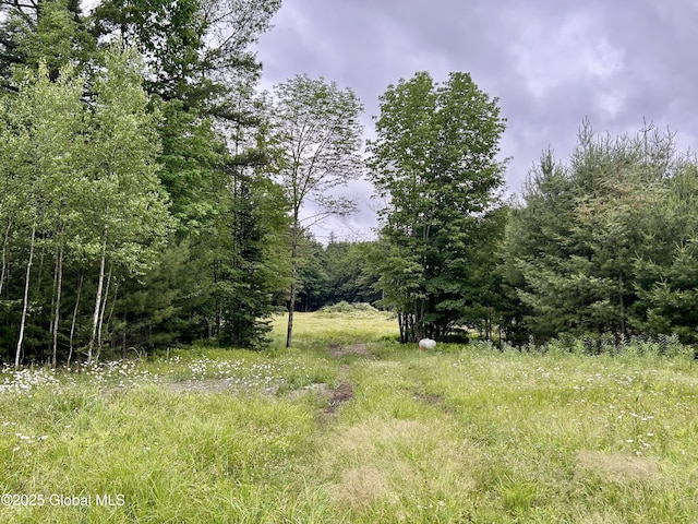 L1 Persch Rd, Bleecker, NY 12078