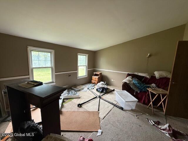 178 E High St, Malta, NY 12020 - view of carpeted living area