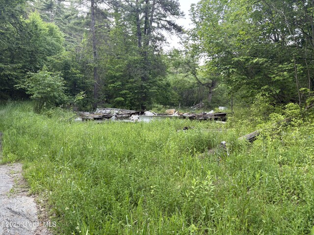 L12.14 Thunder Way, Hebron, NY 12865 - photo 4