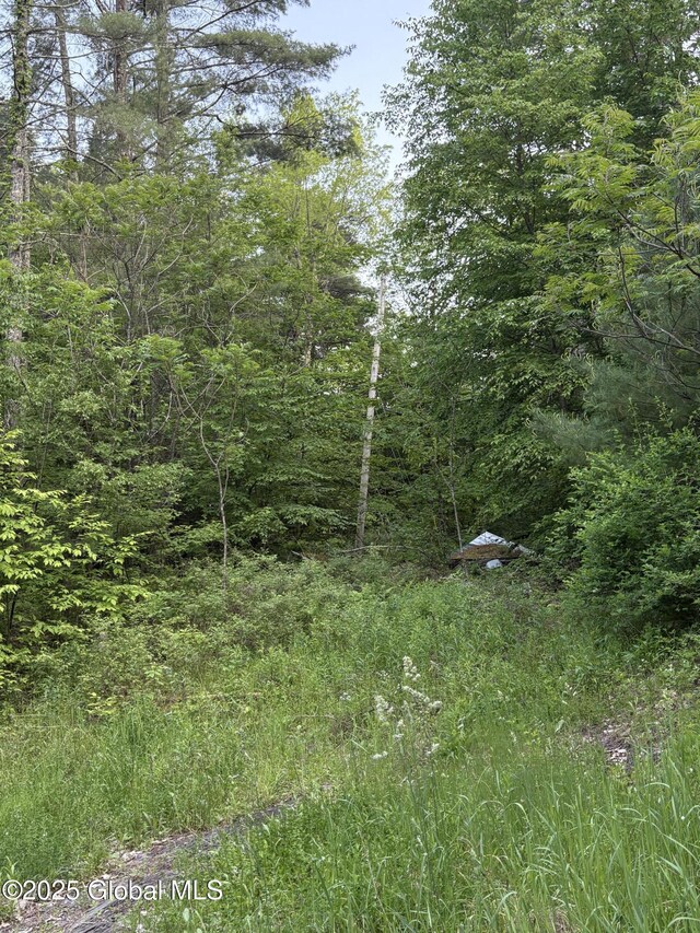 L12.14 Thunder Way, Hebron, NY 12865 - photo 3