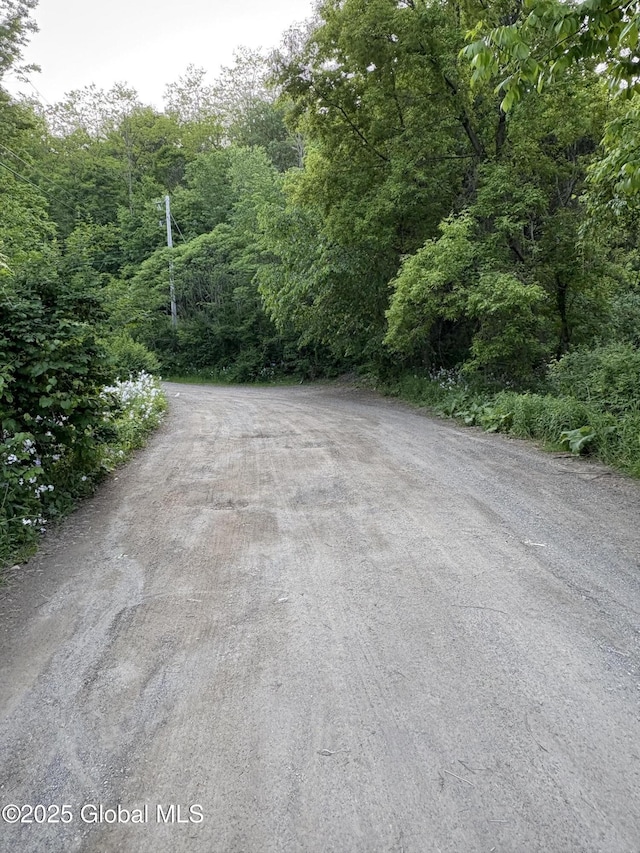 L12.14 Thunder Way, Hebron, NY 12865 - photo 2