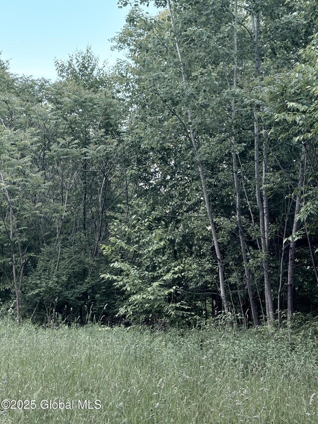 L12.14 Thunder Way, Hebron, NY 12865 - photo 10