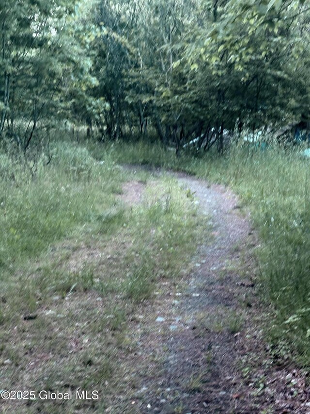 L12.14 Thunder Way, Hebron, NY 12865 - photo 6