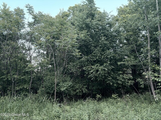 L12.14 Thunder Way, Hebron, NY 12865 - photo 11