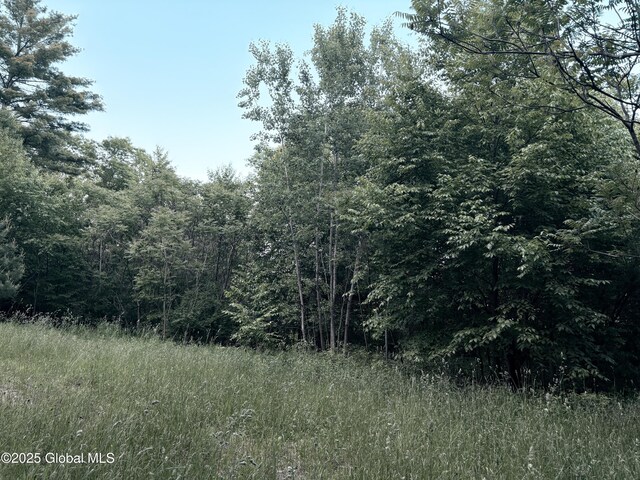 L12.14 Thunder Way, Hebron, NY 12865 - photo 12