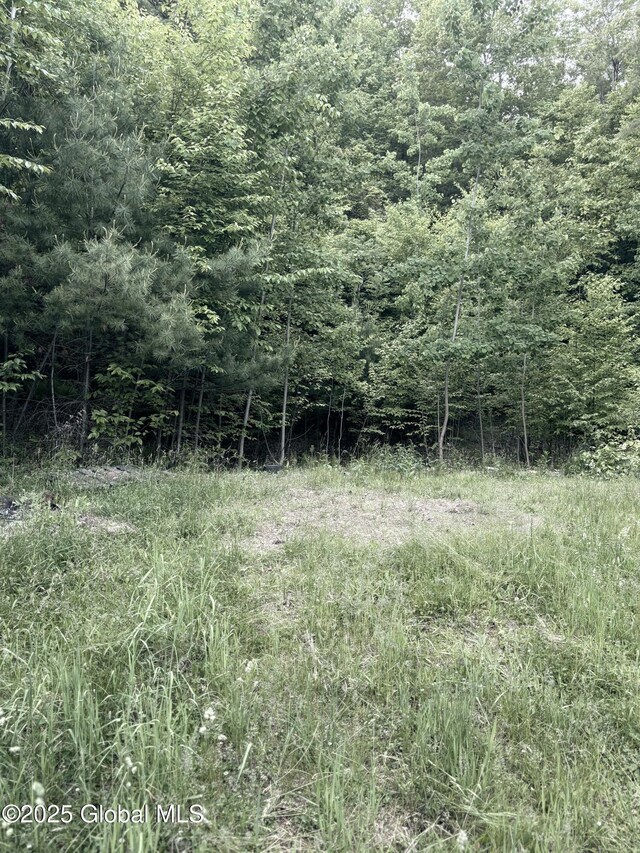 L12.14 Thunder Way, Hebron, NY 12865 - photo 13