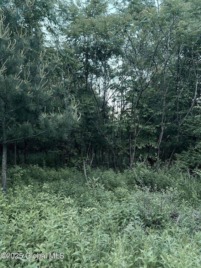 L12.14 Thunder Way, Hebron, NY 12865 - photo 14