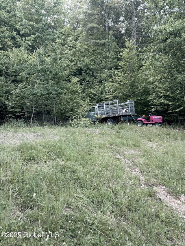 L12.14 Thunder Way, Hebron, NY 12865 - photo 15