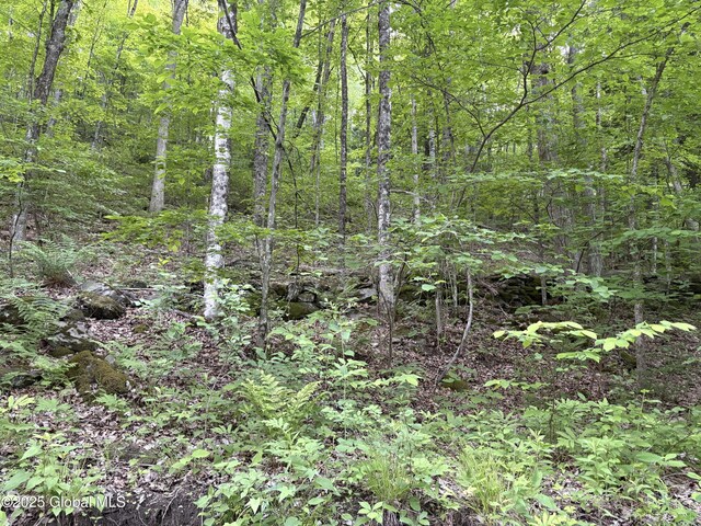 L12.14 Thunder Way, Hebron, NY 12865 - photo 21