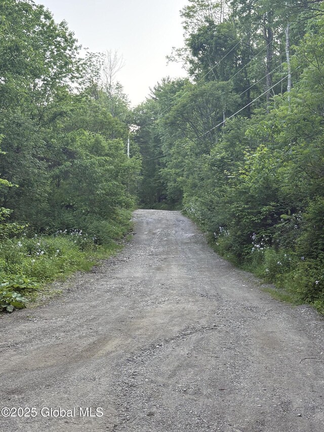 L12.14 Thunder Way, Hebron, NY 12865 - photo 22