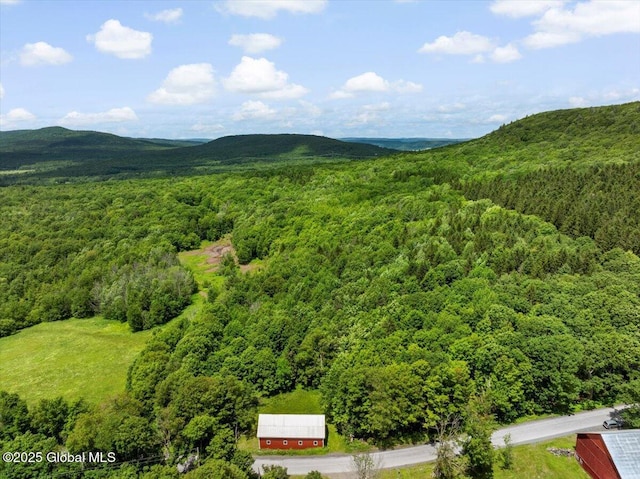 L3 Durham Rd, Conesville, NY 12076 - photo 3