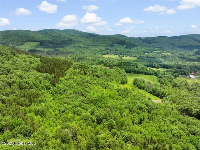 L3 Durham Rd, Conesville, NY 12076 - photo 4
