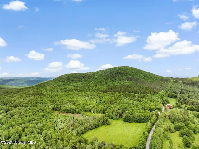 L3 Durham Rd, Conesville, NY 12076 - photo 5