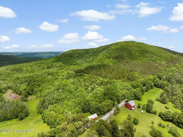 L3 Durham Rd, Conesville, NY 12076 - photo 6